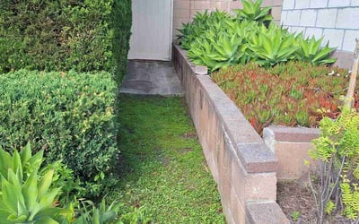 Photo of Carmen P.'s yard after getting tree care in Redding, CA