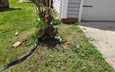 Photo of Andrew S.'s yard after getting landscaping in Kannapolis, NC