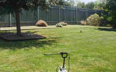 Photo of MO O.'s yard after getting tree care in Manor, TX