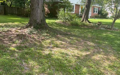 Photo of Cheryl A.'s yard after getting landscaping in Sussex, VA