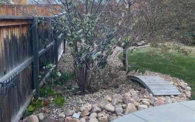 Photo of David T.'s yard after getting landscaping in Alma, CO