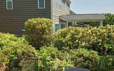 Photo of William R.'s yard after getting landscaping in Hickory Grove, SC