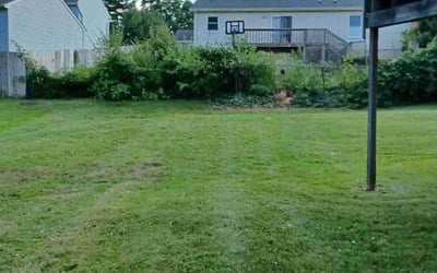 Photo of Ken D.'s yard after getting landscaping in Latonia, KY