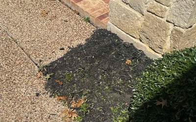 Photo of Andrea S.'s yard after getting landscaping in Roanoke, TX
