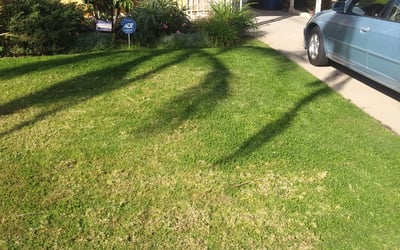 Photo of Marilyn W.'s yard after getting landscaping in North Hills, CA