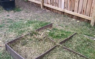 Photo of Brittany K.'s yard after getting landscaping in Jourdanton, TX