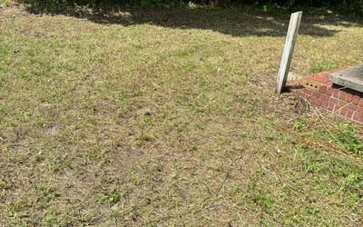 Photo of Terrance P.'s yard after getting tree care in Port Charlotte, FL