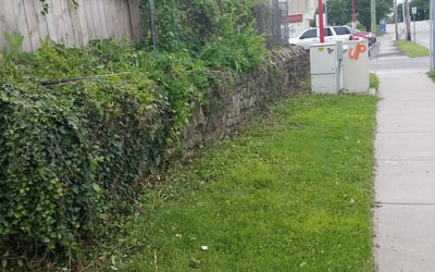 Photo of Deborah W.'s yard after getting landscaping in Rockville, MO