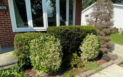 Photo of Steven H.'s yard after getting landscaping in Clarksville, MD