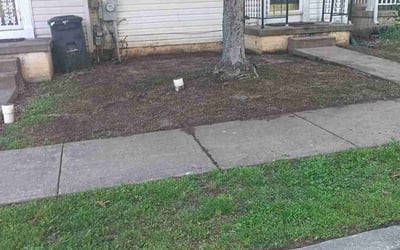 Photo of Susan S.'s yard after getting landscaping in Rosedale, MD