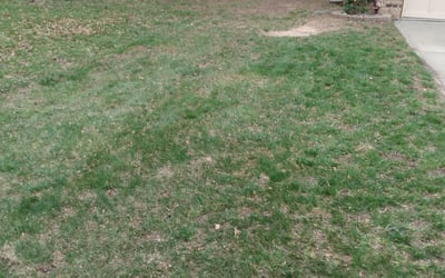 Photo of David C.'s yard after getting landscaping in Tonganoxie, KS
