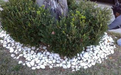 Photo of Joe B.'s yard after getting landscaping in Lanexa, VA