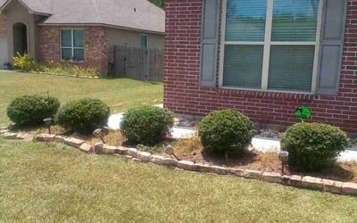 Photo of Aaron H.'s yard after getting landscaping in Folsom, LA