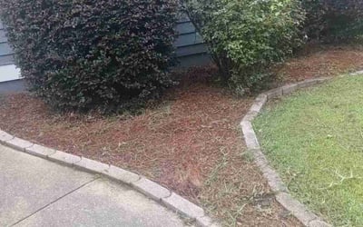 Photo of Sheri B.'s yard after getting tree care in Villa Rica, GA