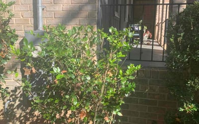 Photo of Becca A.'s yard after getting landscaping in Molena, GA