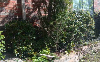 Photo of Vince R.'s yard after getting landscaping in Cresson, TX