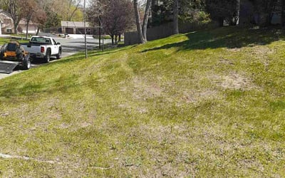 Photo of Kiki K.'s yard after getting landscaping in Princeton, MN