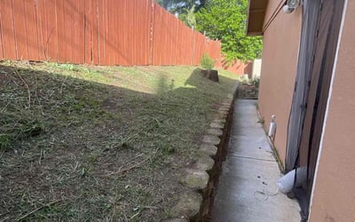Photo of Rhema D.'s yard after getting lawn care in Pleasanton, CA