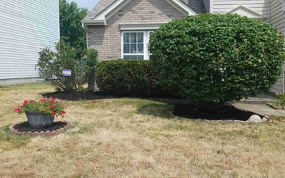 Photo of Barb H.'s yard after getting landscaping in Lawrenceburg, IN