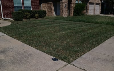 Photo of Lance D.'s yard after getting landscaping in Krum, TX