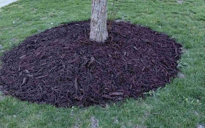 Photo of Jennifer S.'s yard after getting landscaping in Newell, NC