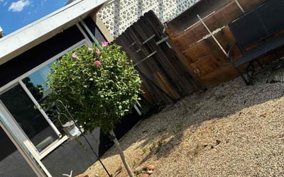 Photo of Ashley P.'s yard after getting landscaping in Folsom, CA