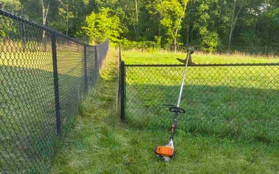 Photo of Heather F.'s yard after getting tree care in Independence, KY
