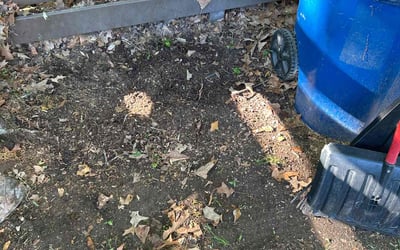 Photo of Carl W.'s yard after getting landscaping in Virginia Beach, VA
