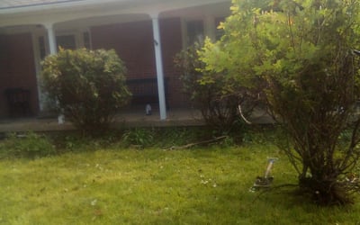 Photo of Jennifer D.'s yard after getting landscaping in Blairstown, NJ