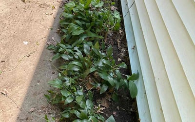Photo of Steven A.'s yard after getting landscaping in Topeka, KS