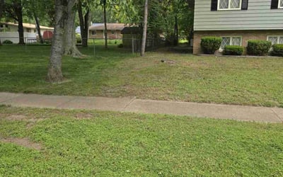 Photo of Kimberly C.'s yard after getting landscaping in Saginaw, MI