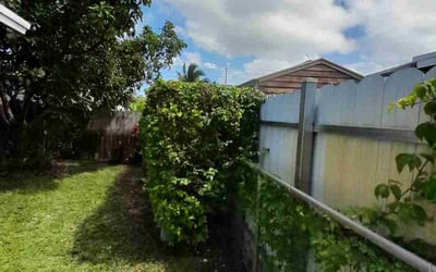 Photo of Debra S.'s yard after getting landscaping in Palm Beach Gardens, FL