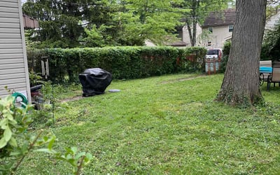 Photo of Lisa B.'s yard after getting landscaping in Kilbourne, OH
