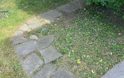 Photo of Jessica w.'s yard after getting tree care in Niles, MI