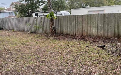 Photo of Joanne P.'s yard after getting landscaping in Lacoochee, FL