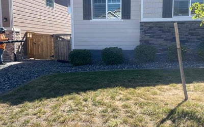 Photo of Traci D.'s yard after getting landscaping in Evergreen, CO
