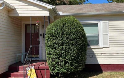 Photo of Karol K.'s yard after getting tree care in Edmond, OK