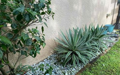 Photo of Megan D.'s yard after getting landscaping in Cape Canaveral, FL