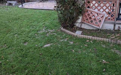 Photo of David M.'s yard after getting landscaping in Elmendorf, TX