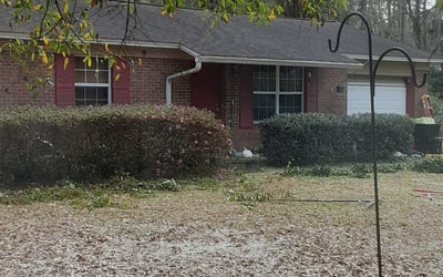 Photo of Summer S.'s yard after getting landscaping in Monticello, FL