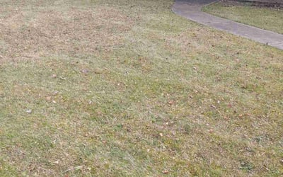 Photo of Jeannine K.'s yard after getting landscaping in Latrobe, PA