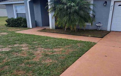 Photo of Anthony M.'s yard after getting landscaping in Alturas, FL