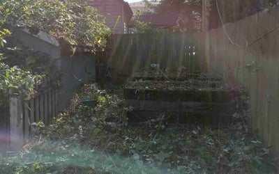 Photo of Nicole N.'s yard after getting landscaping in Scappoose, OR
