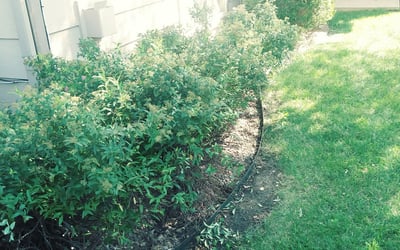 Photo of Justin B.'s yard after getting landscaping in Newton, KS