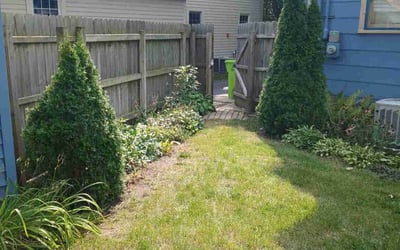 Photo of Molly K.'s yard after getting lawn care in Novi, MI
