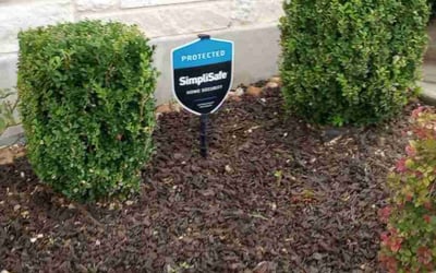 Photo of Brittany K.'s yard after getting tree care in Floresville, TX