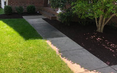 Photo of John B.'s yard after getting landscaping in Catharpin, VA