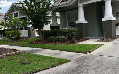 Photo of Derick K.'s yard after getting tree care in Tarpon Springs, FL