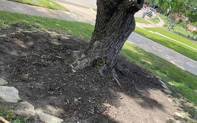 Photo of Brian A.'s yard after getting landscaping in Keller, TX