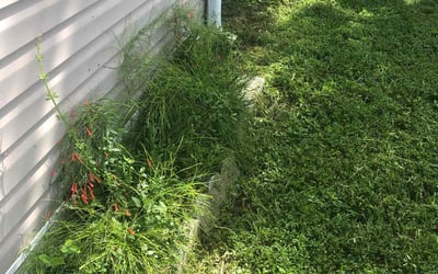 Photo of Amy S.'s yard after getting landscaping in Greenacres, FL
